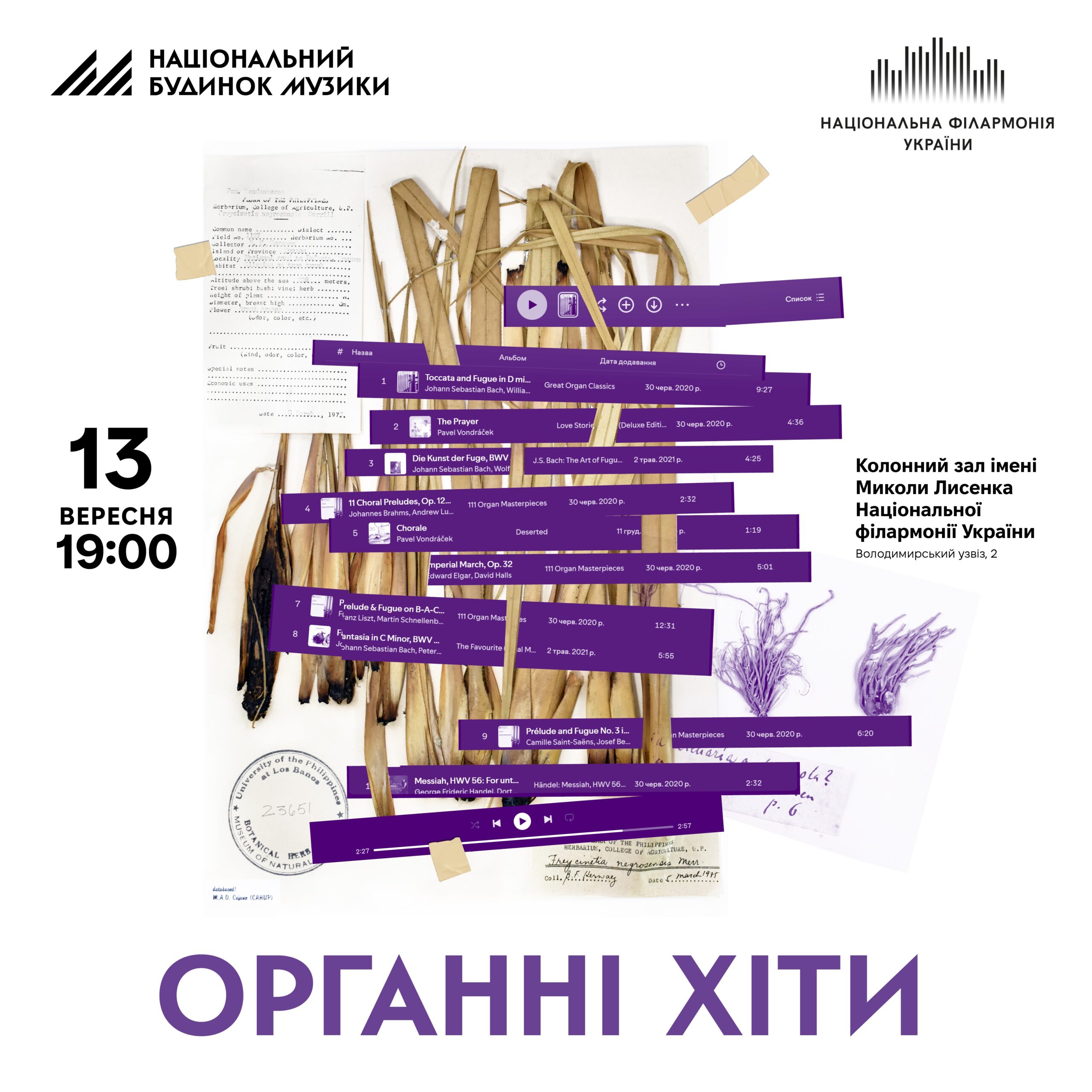 ОРГАННІ ХІТИ